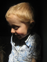 IMG 7323