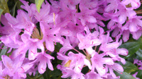 20160611 160615
